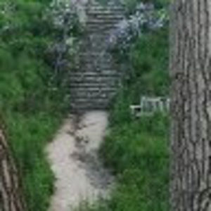 Meet your Posher, Joel